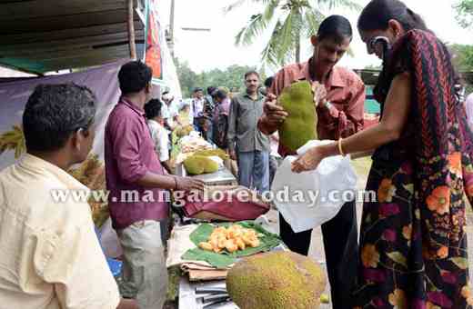 Jackfruit 